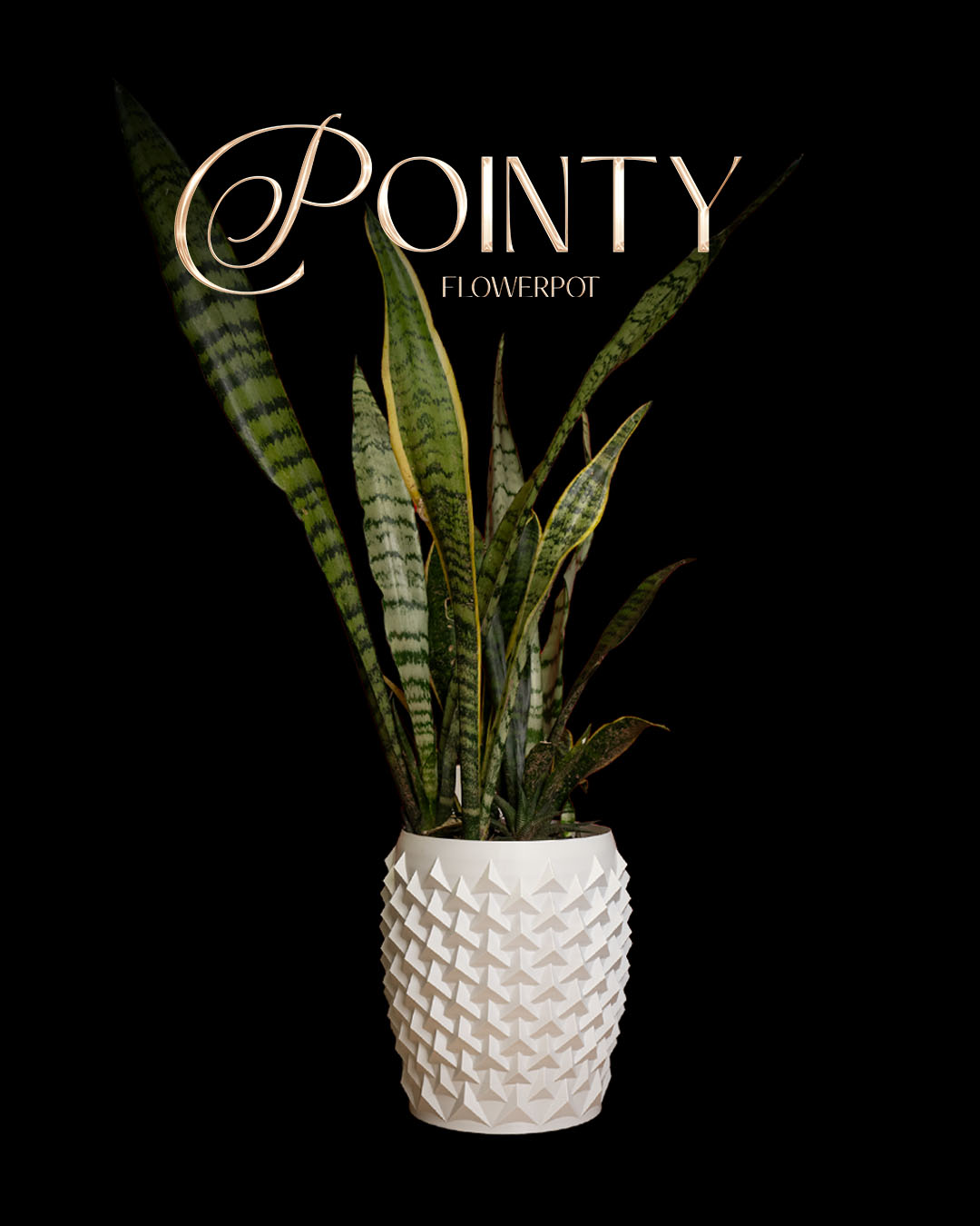 Pointy Flowerpot